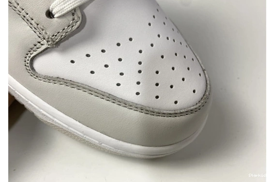 Dust" Nike Low DD1503-103 "Photon Dunk 1107